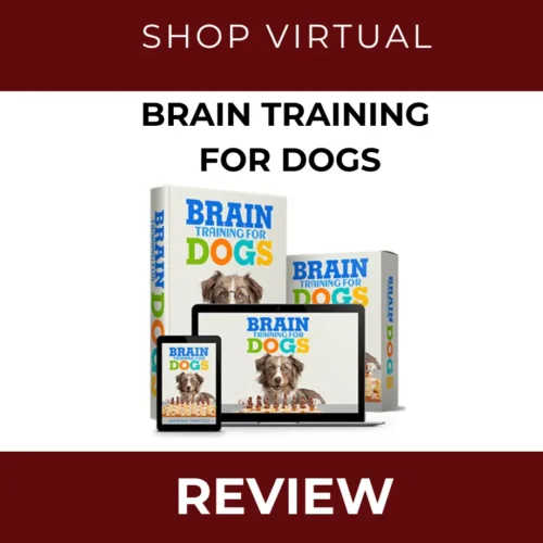 Brain Training For Dogs