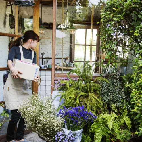 From Yards to Balconies: The Evolving Landscape of Home and Garden