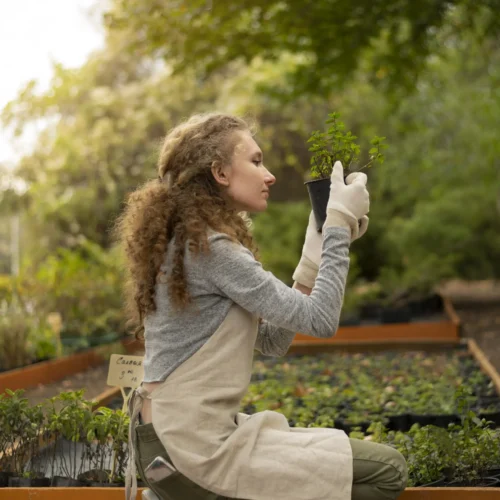 Home Gardens and Gardening: Growing Wellness and Sustainability