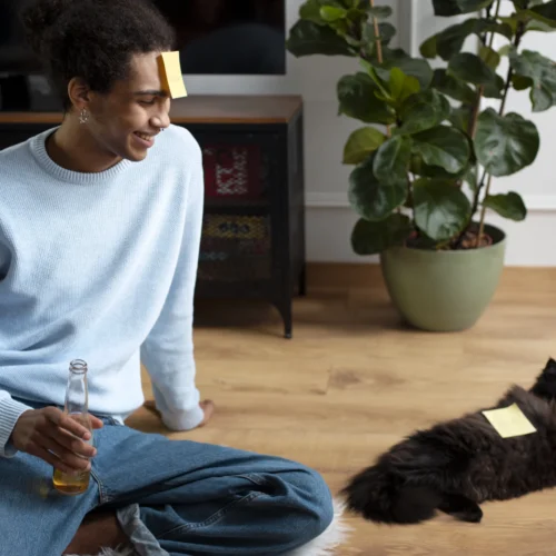 Inclusion and Connectivity in the PET World